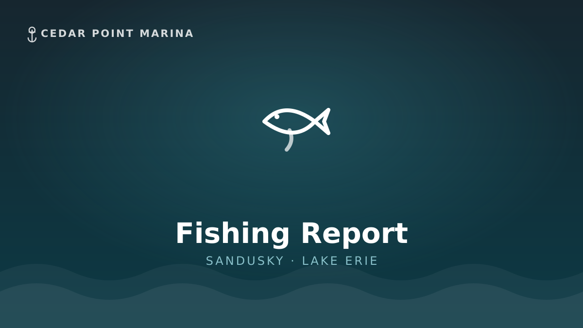 News — Cedar Point Marina
